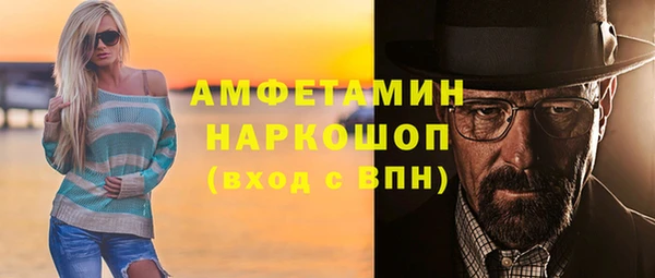 гидра Алексеевка