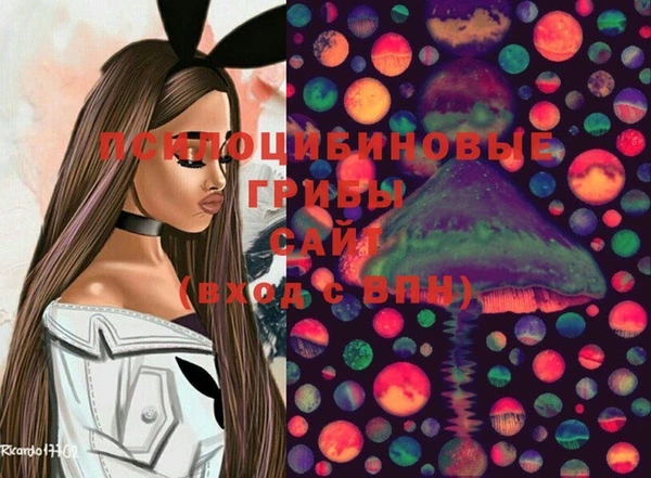 таблы Алзамай