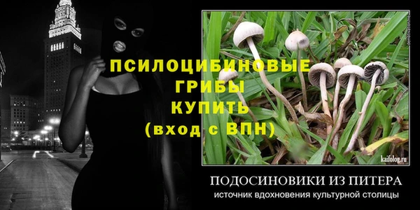 гидра Алексеевка