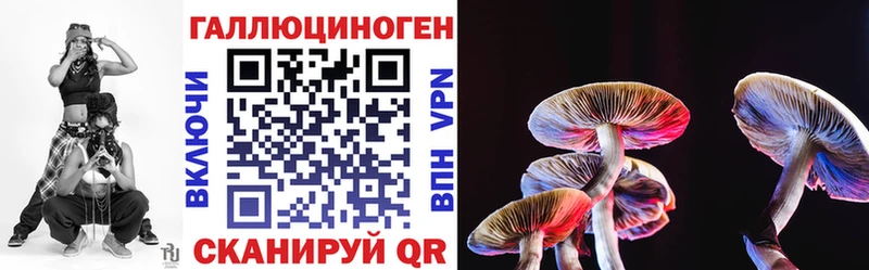 купить наркоту  Глазов  Псилоцибиновые грибы Psilocybine cubensis 