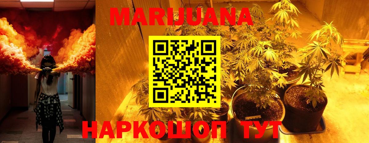 Бошки марихуана сатива  Канабис THC 21%  Марихуана тримм  Вход с VPN  Глазов  Бошки Шишки Bruce Banner 